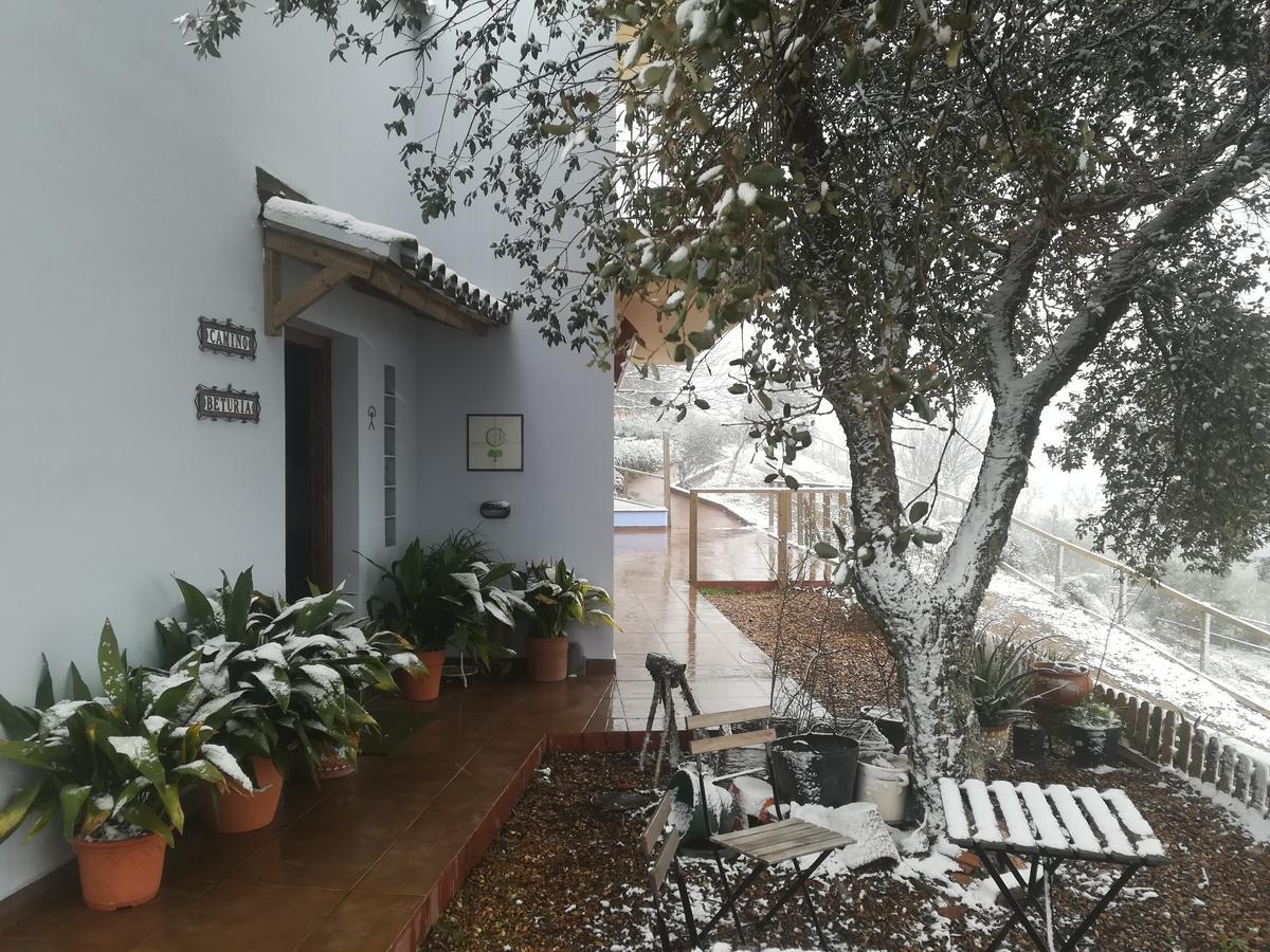 Alojamiento Rural Camino Beturia Cabeza la Vaca Bagian luar foto